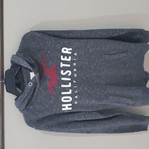 Mens Medium Hollister Hoodie
